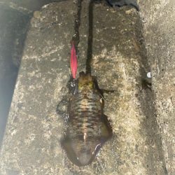 寒くなるまえに