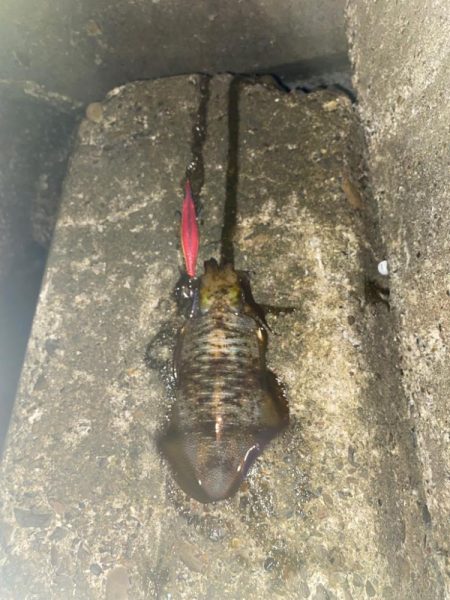 寒くなるまえに