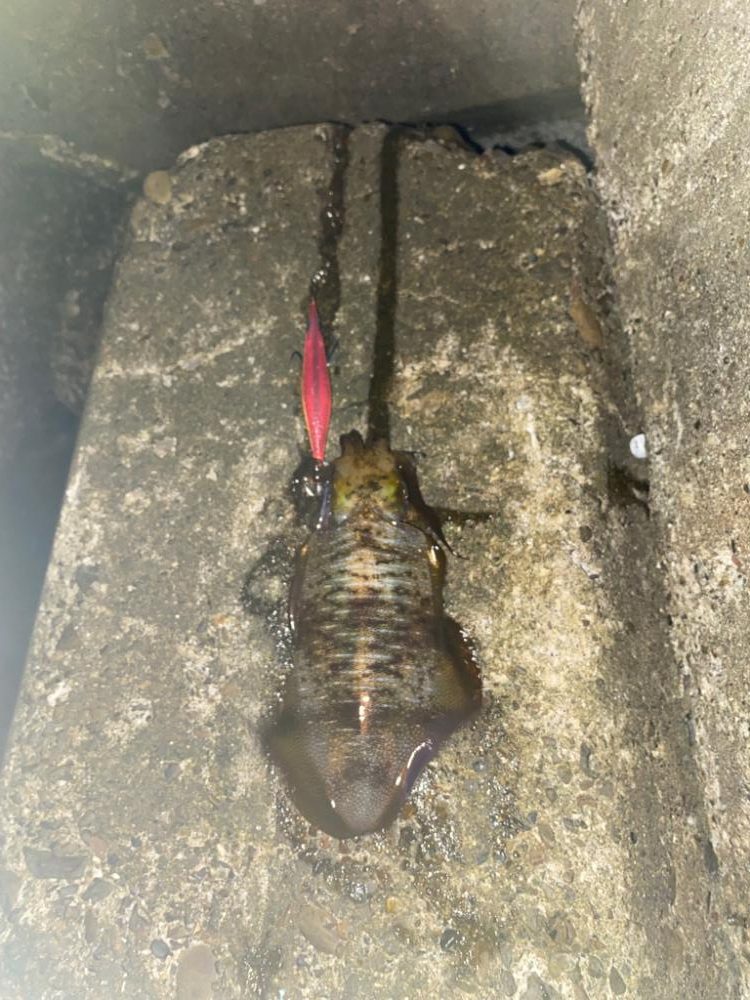 寒くなるまえに