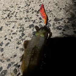 キロアップ狙いが泣