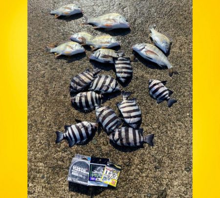 朝は肌寒いですが、日中は暑い。