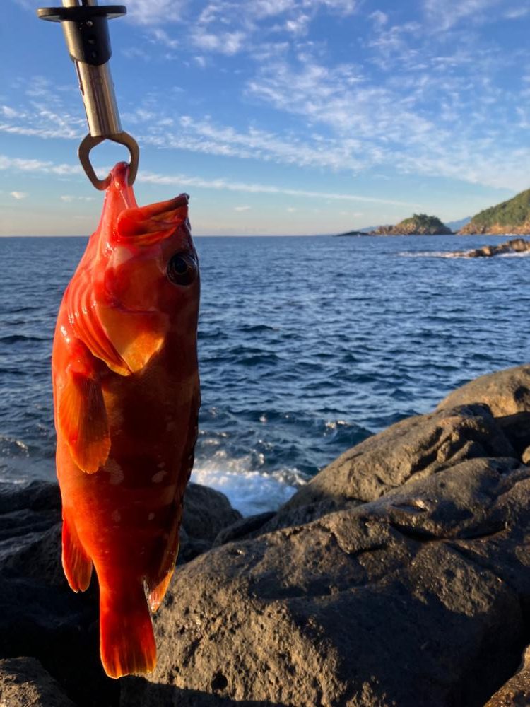久々の磯2日目