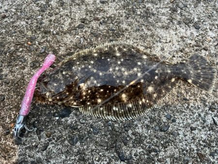 有休の過ごし方