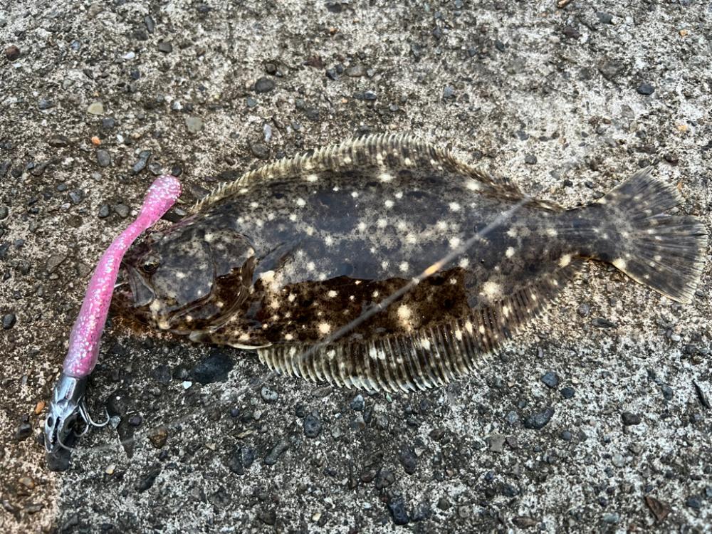 有休の過ごし方