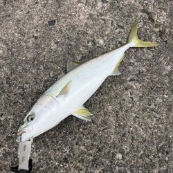 だんだん近寄るシーズンの終わり