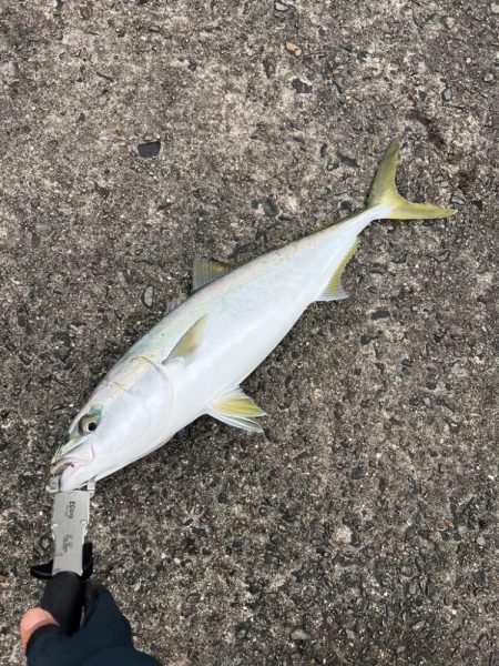 だんだん近寄るシーズンの終わり