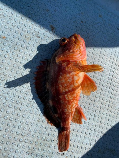 ジギング修行!!