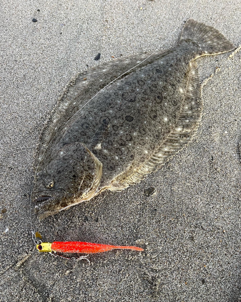 凪の干潮はフィネスが効く！