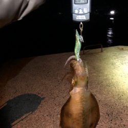 【伊根〜京丹後】成長してました!