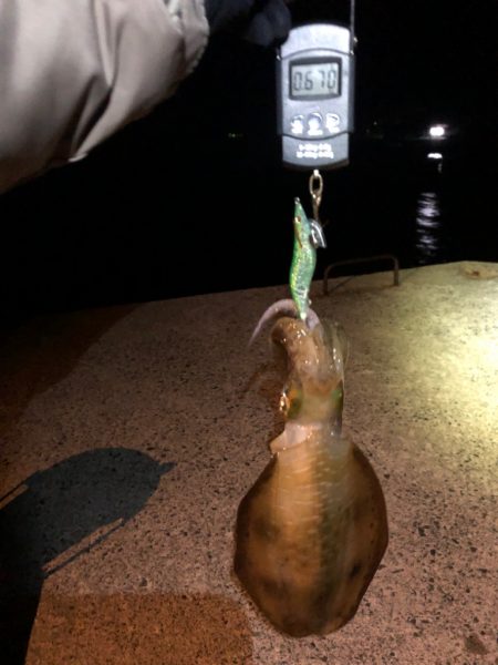 【伊根〜京丹後】成長してました!