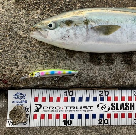 ㊗️初メジロ！…