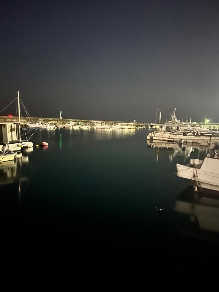 今期初物！！！