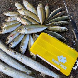 仕事前のアジング