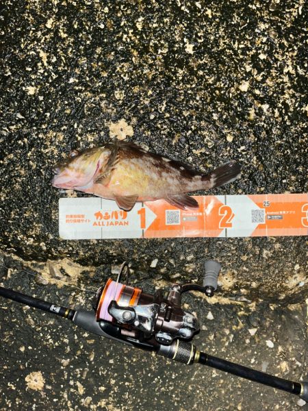 昨日に引き続きガシリング