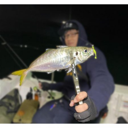 和歌山ボートアジング