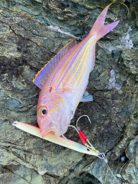 ショアジギング