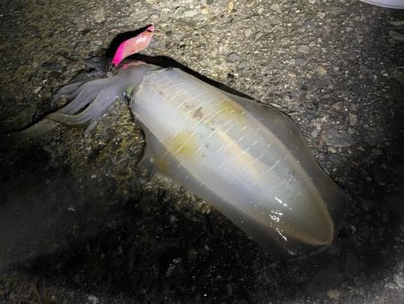 仕事の休憩時間に