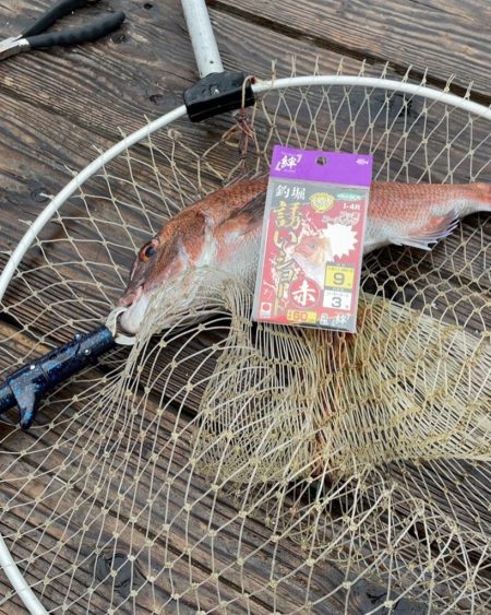 雨の中の釣り堀海恵