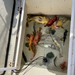 久しぶりぶりのマイボート