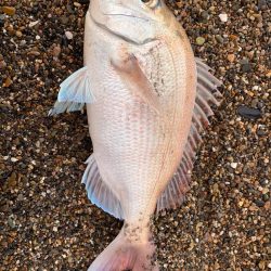 秋田県北サーフ