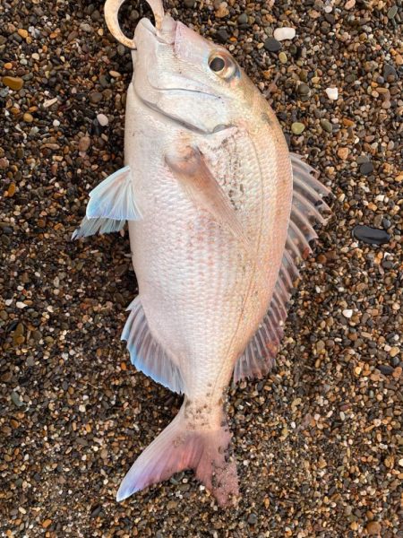 秋田県北サーフ