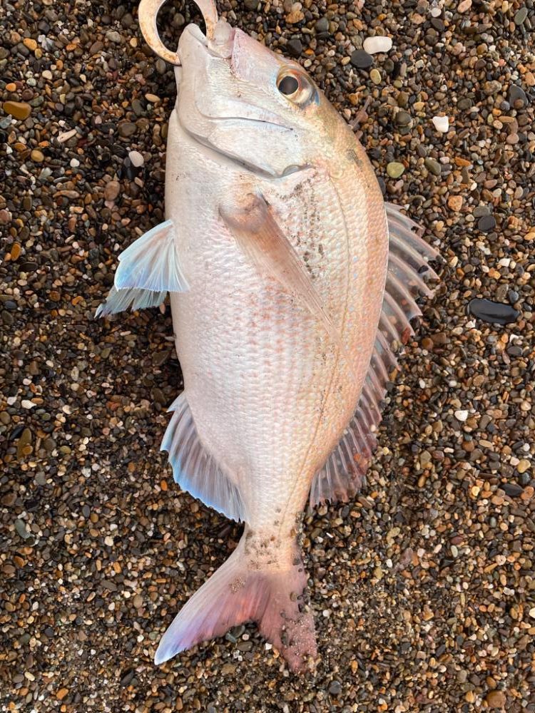 秋田県北サーフ