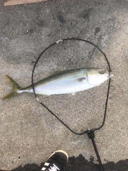 第9回雰囲気あります。