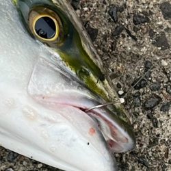 雨にも負けず☔️
