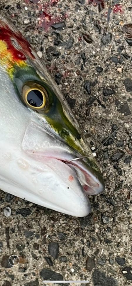 雨にも負けず☔️…