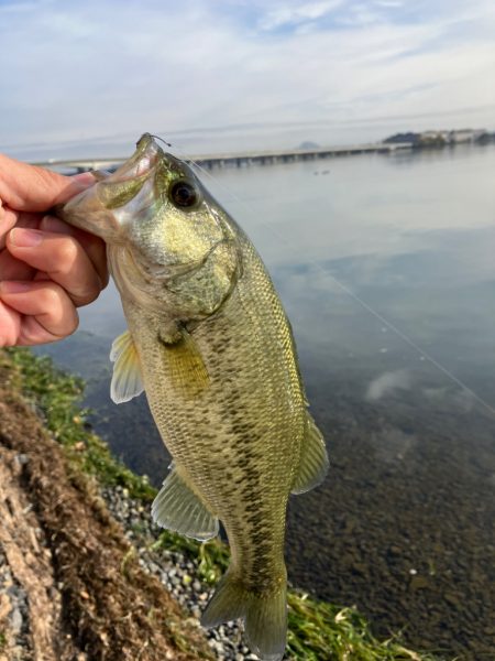 減水気味の南湖