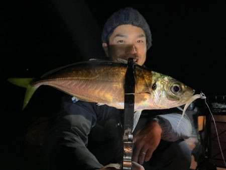 11月のボートアジング