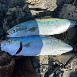 サイズアップはまだ先かなぁ〜