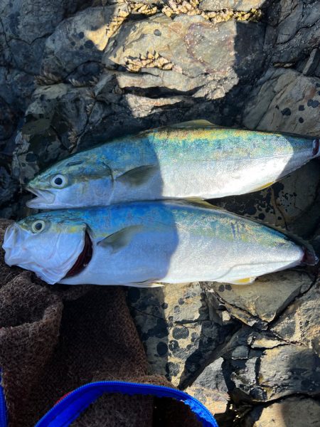 サイズアップはまだ先かなぁ〜