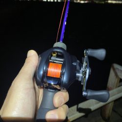 大阪湾奥アジング　ベイトアジング