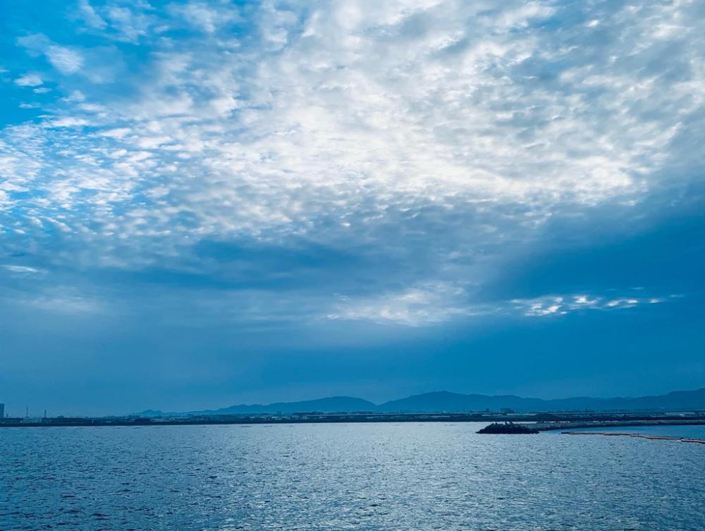 泳がせ釣りでハマチ