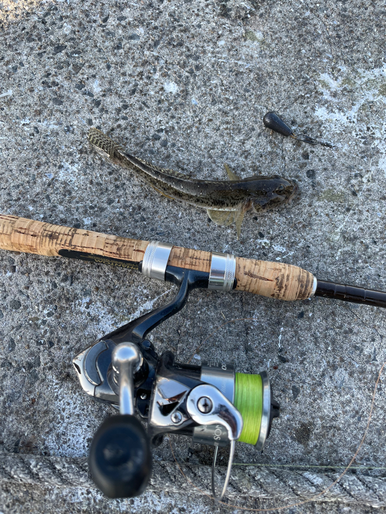 久々のハゼ釣り楽しい！