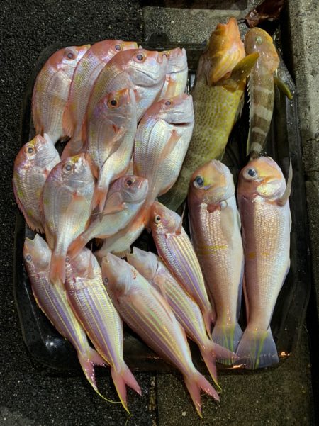 マイボートでアマダイ釣行！