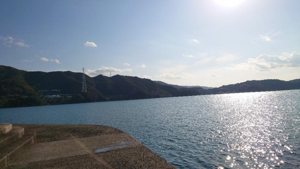 秋のカワハギ釣り