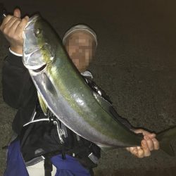 ブリが釣れるポイント