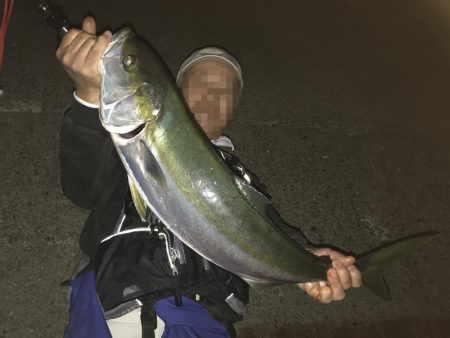 ブリが釣れるポイント