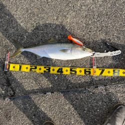 トップでメジロ２匹