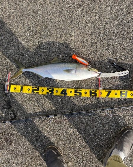 トップでメジロ２匹