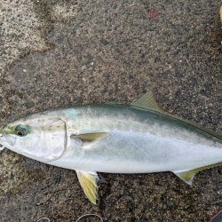 悲劇からの奇跡