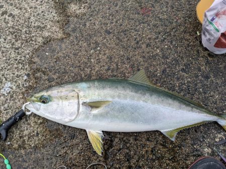 悲劇からの奇跡