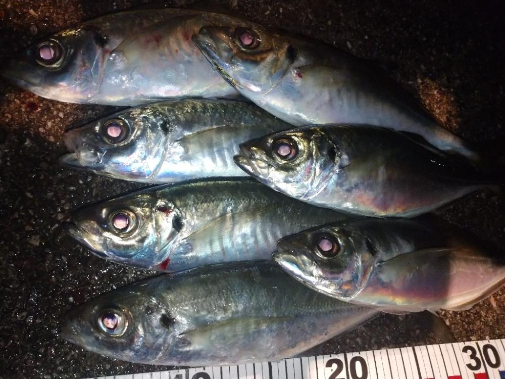 イージーシェイカー3.5