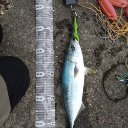 超久々の青物GET！