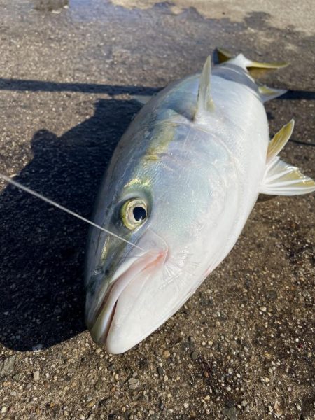 今日も、絶好調でした。