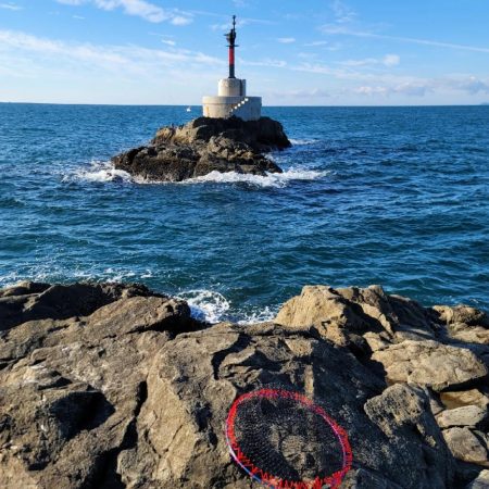 和歌山県大引　アシカの子