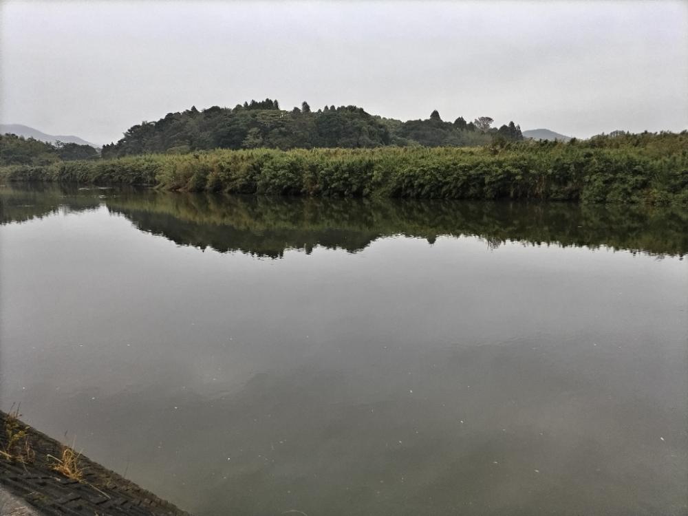 川チヌ釣れました。