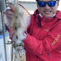 アオリイカ釣り